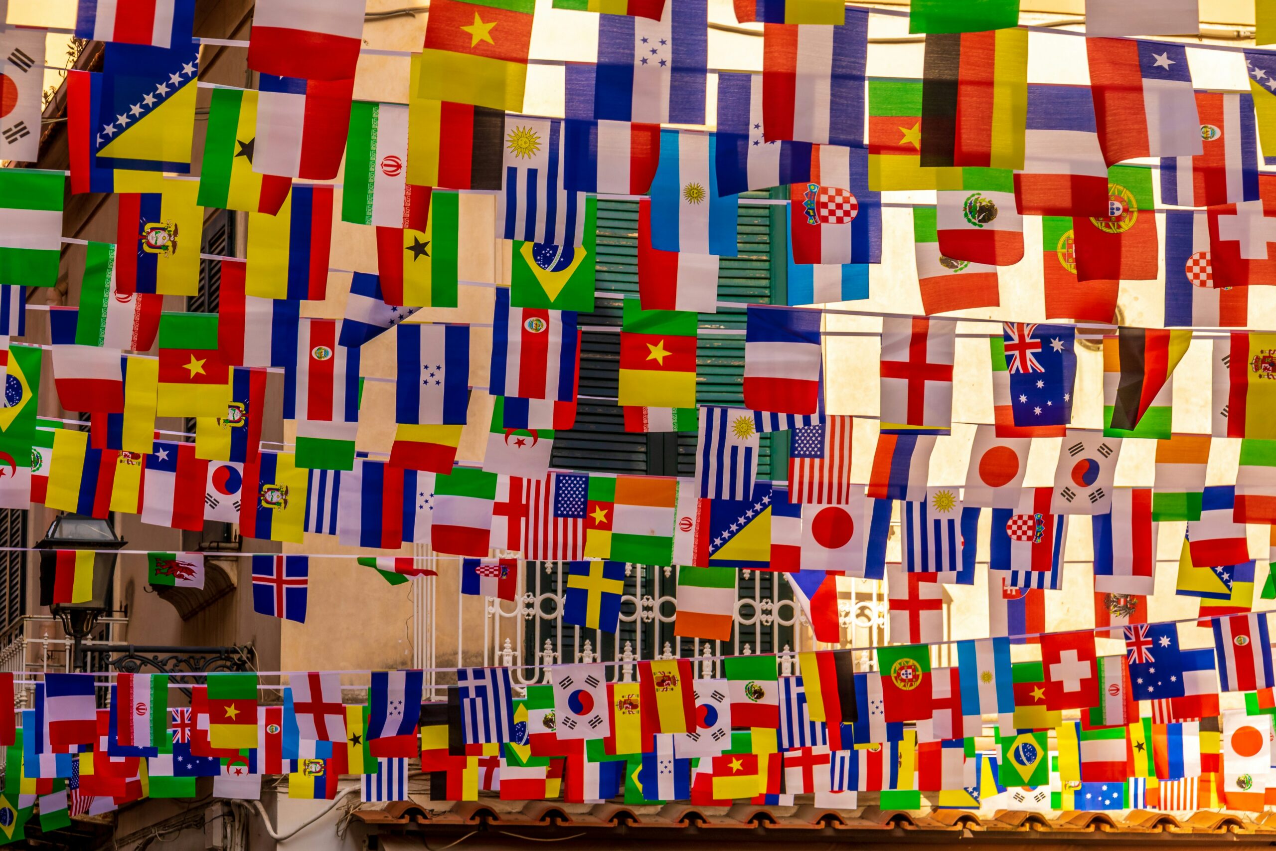 Flags for international night