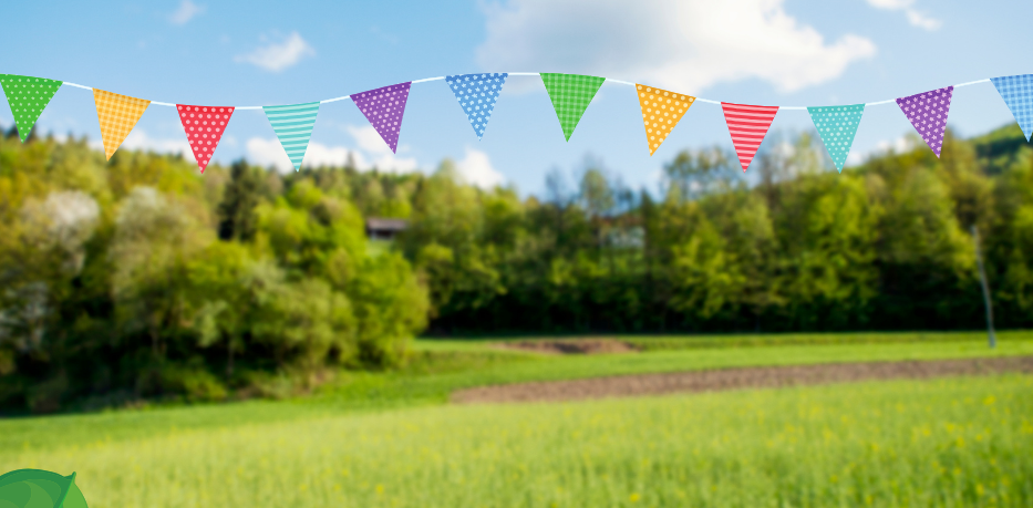 picnic backdrop