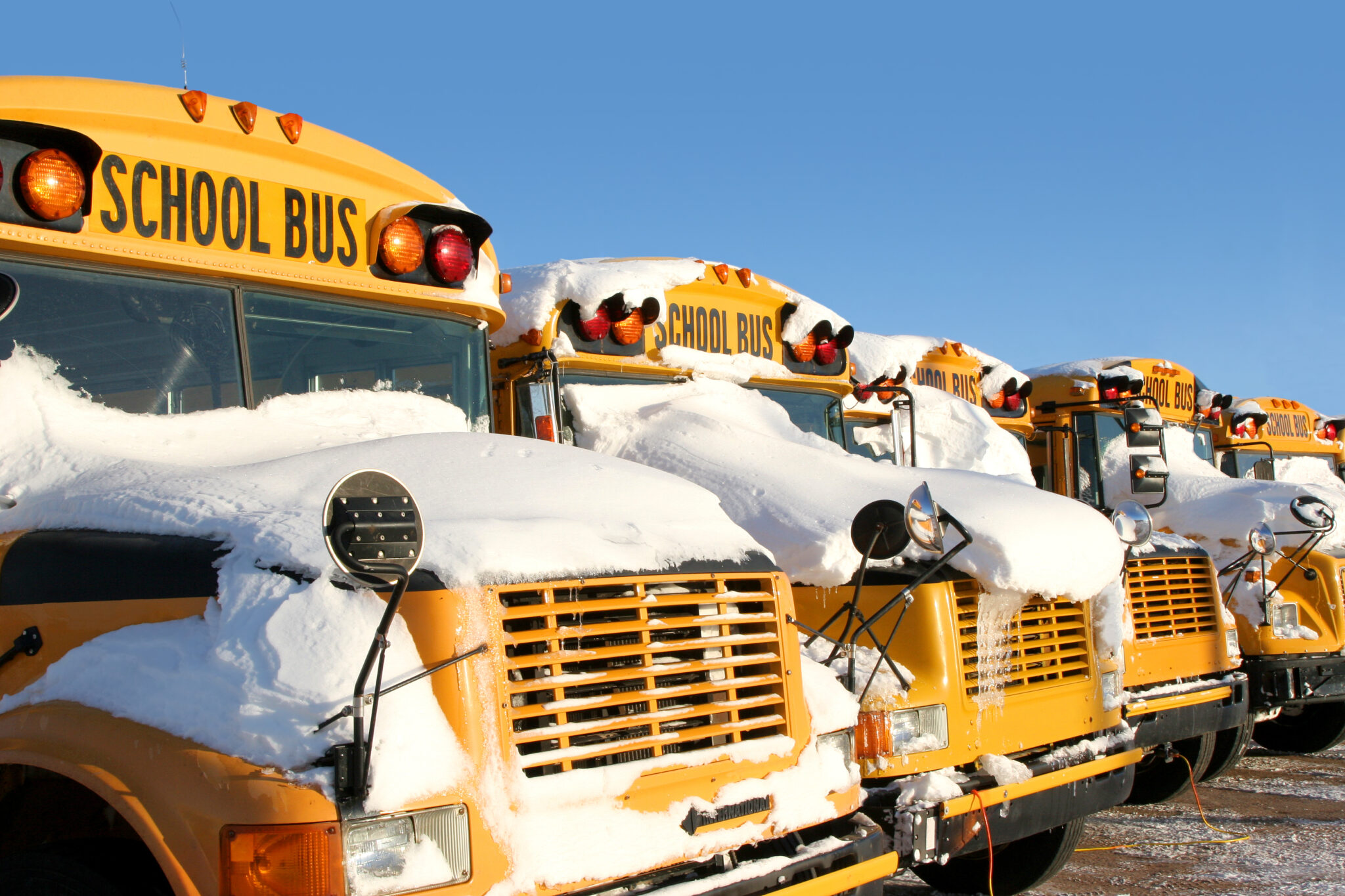 Buses with snow on them